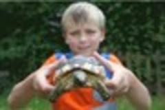 Tortoise spends 5 days on the run - but only makes it half a mile from home